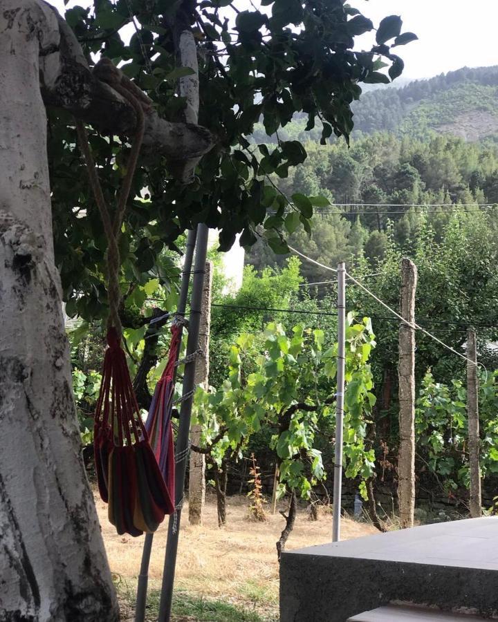 Guesthouse "Shtepia Ime" Përmet Exteriör bild